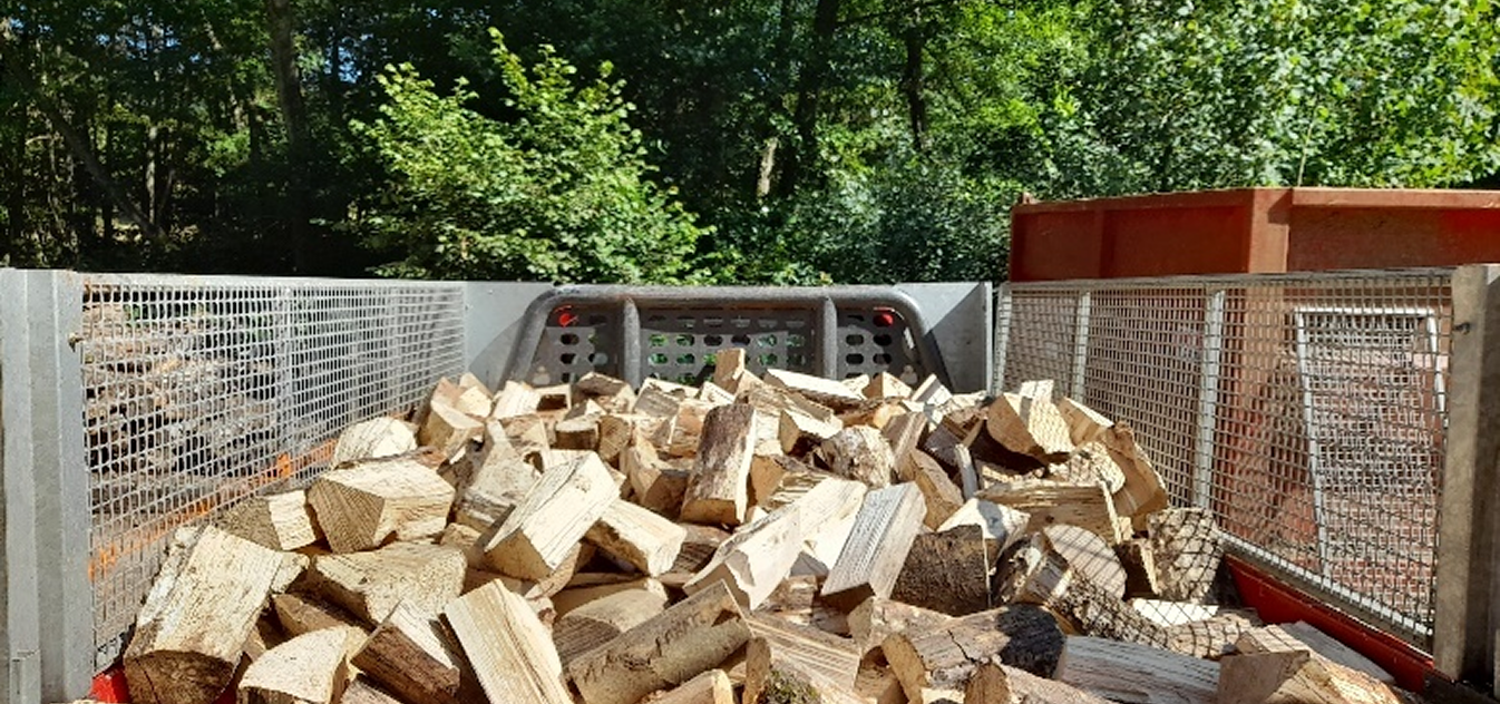 Logs for sale