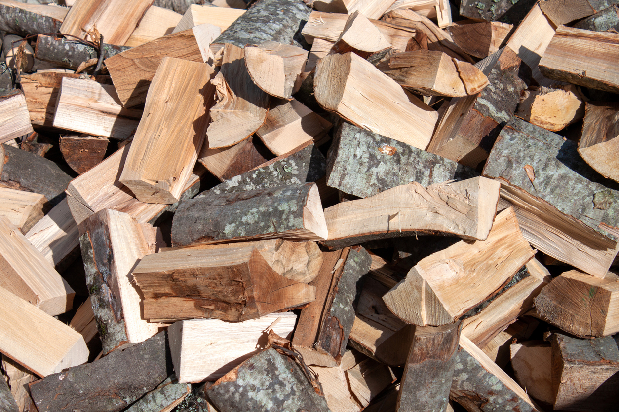 Logs