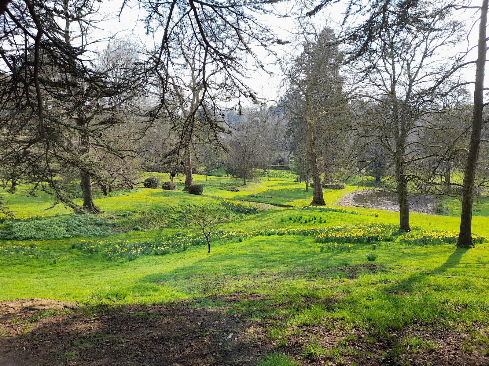Evelyn Gardens