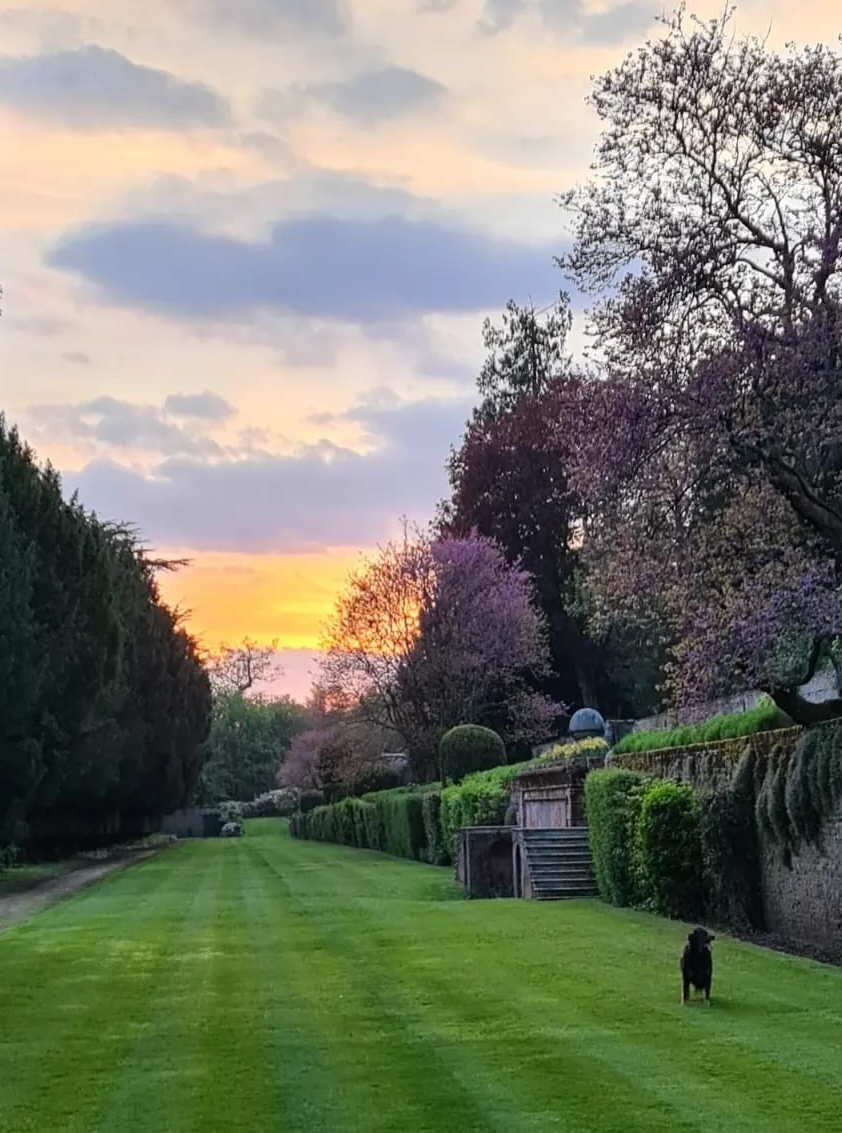 Evelyn Gardens